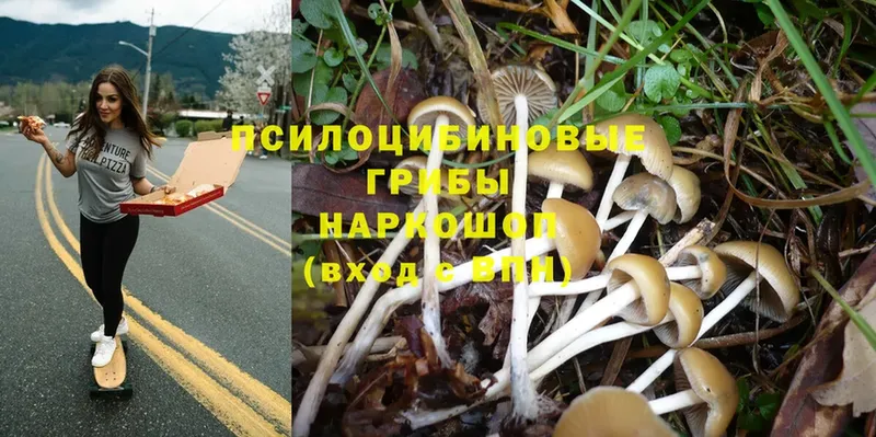 Псилоцибиновые грибы Magic Shrooms  Орлов 